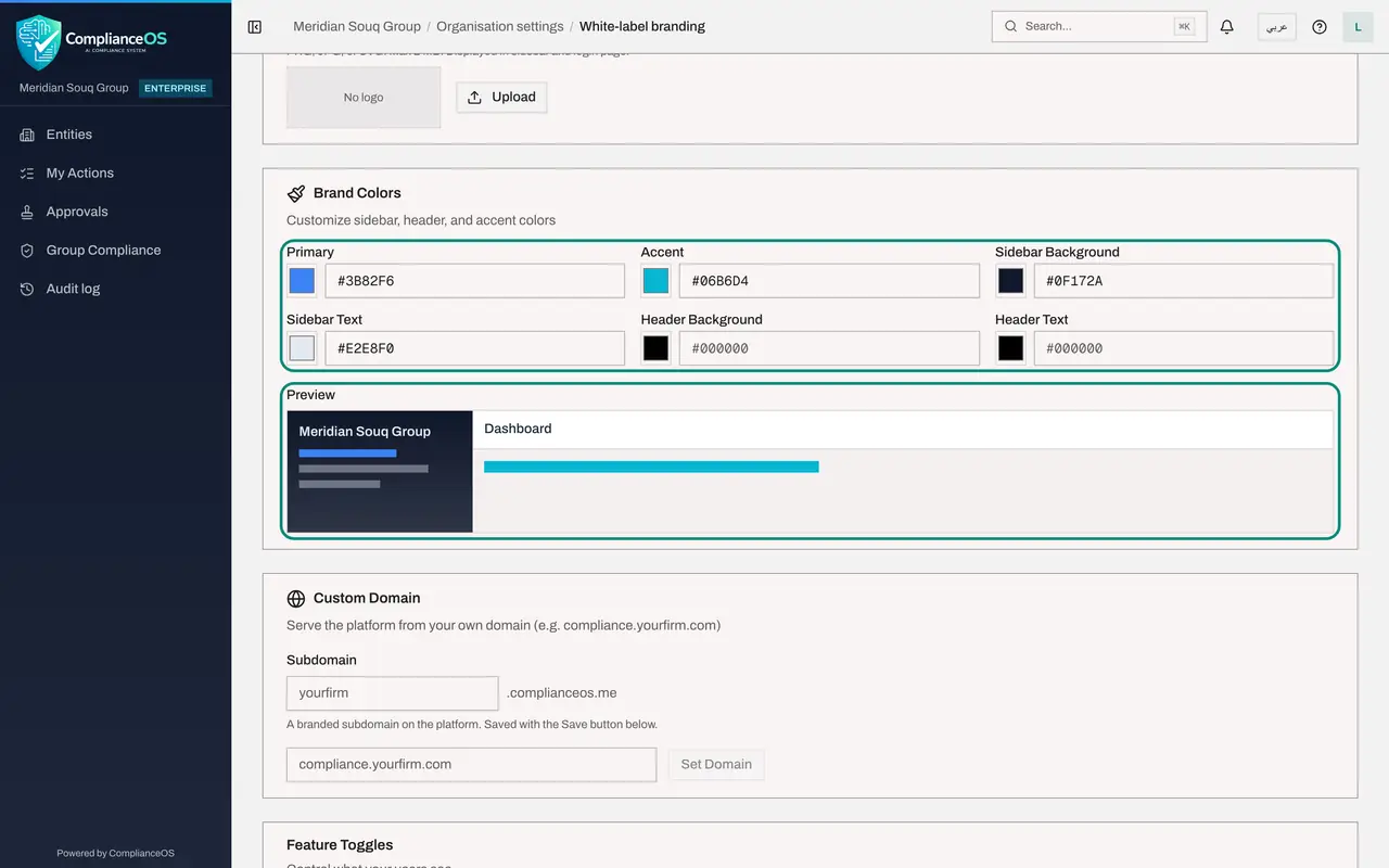 The screen at step 4: Read Brand Colors and the Preview