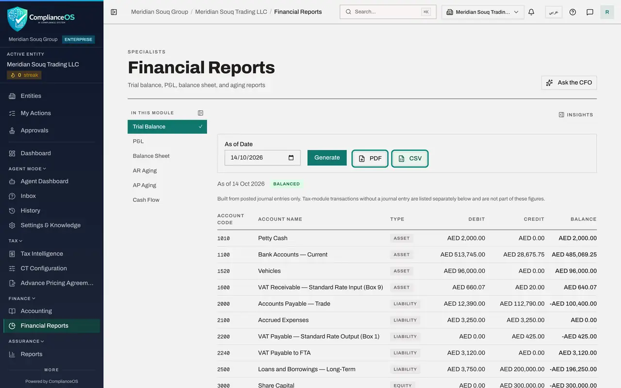 The screen at step 7: Download the trial balance